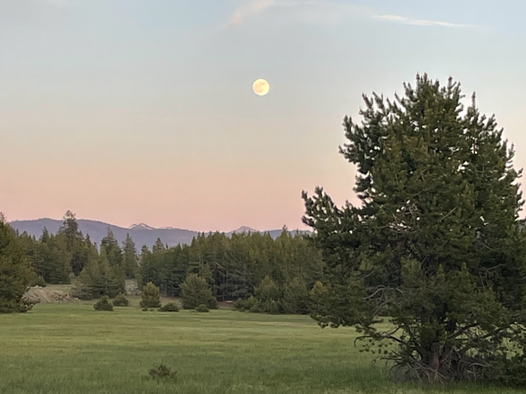 Full moon rising A full moon rising over a meadow, with trees and distant mountains in the background.