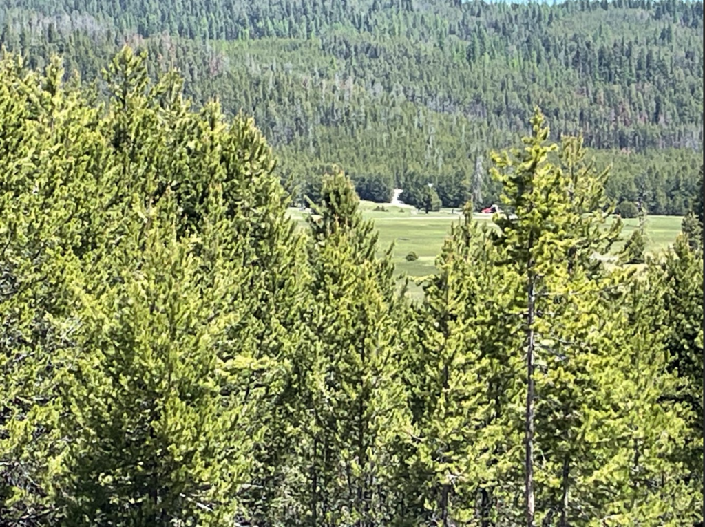 Truck in the distance A distant view of a red truck parked in a meadow, surrounded by dense pine forests and rugged terrain.